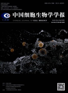 中国细胞生物学学报