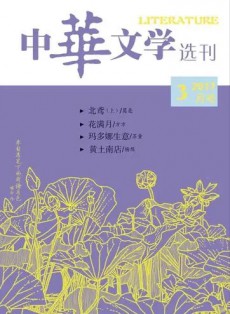 中华文学选刊杂志