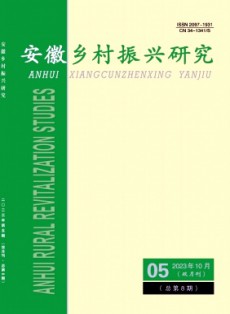 安徽乡村振兴研究